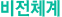 비전체계